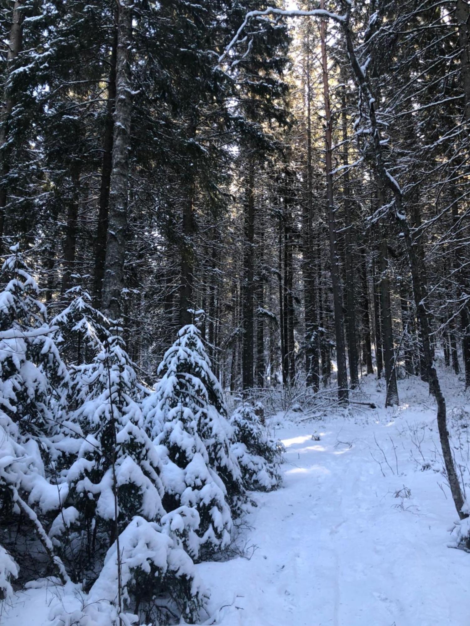 Kungsbergetnatur Jarbo Exterior photo